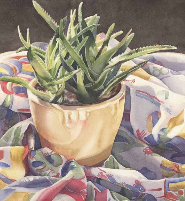 Aloe in a Yellow Pot by Kathrine Lemke Waste