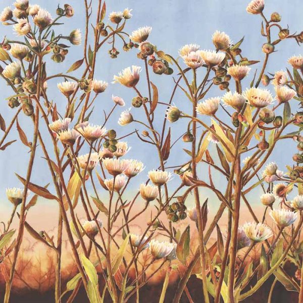 Along the Fireline by Kathrine Lemke Waste