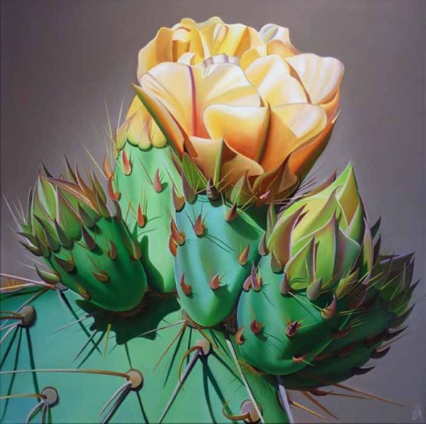 Arizona Gold, Prickly Pear Bloom and Bud, Desert Botanical Garden by Dyana Hesson