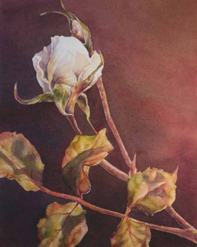 Autumn Rose by Kathrine Lemke Waste