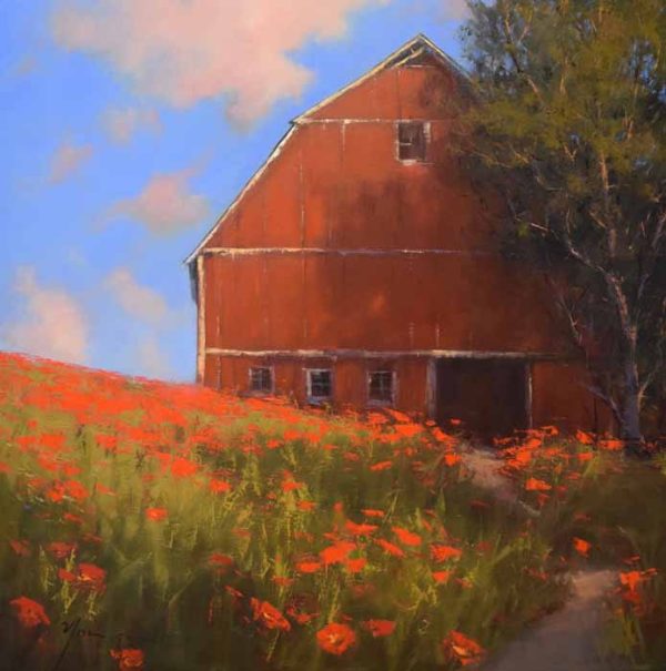 Barn in Summer by Romona Youngquist
