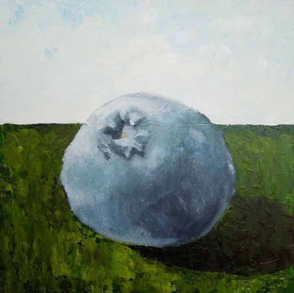 Big Sky Blueberry   by Eve Plumb