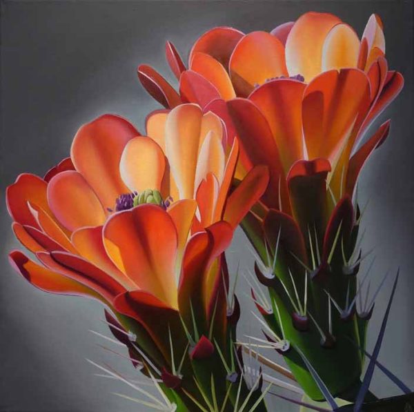 Cheers Claret Cup Cactus Blooms by Dyana Hesson