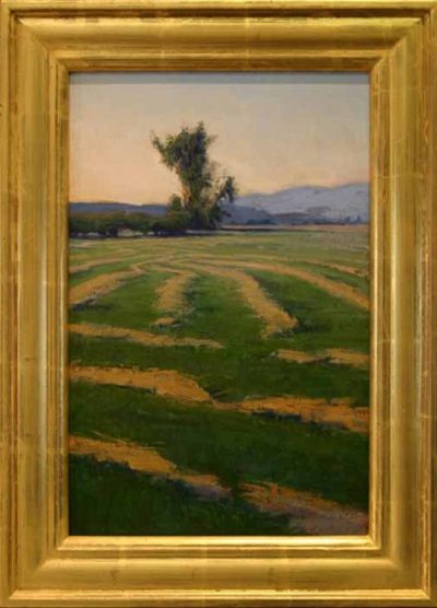 Cut Hay   by Brad Aldridge