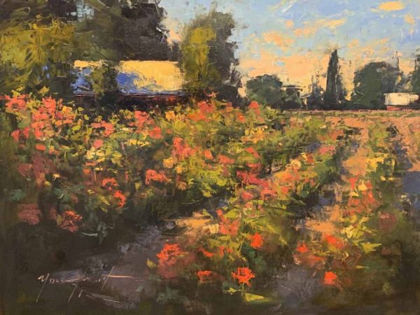 Dahlia Garden by Romona Youngquist