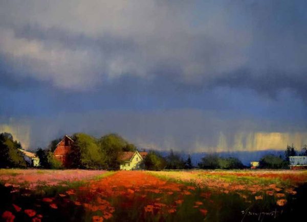 Flower Field by Romona Youngquist