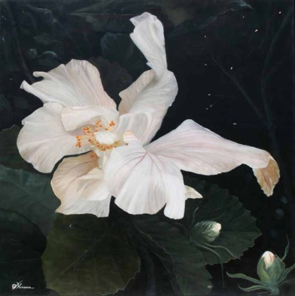 Insomnia by Victoria Herrera