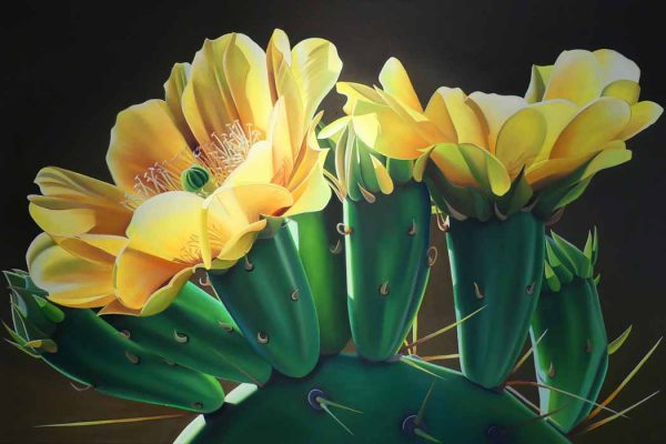 Pears and Coffee – Prickly Pear Cactus Blooms by Dyana Hesson