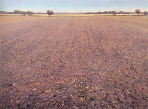 Plowed Field by Gary Ernest Smith