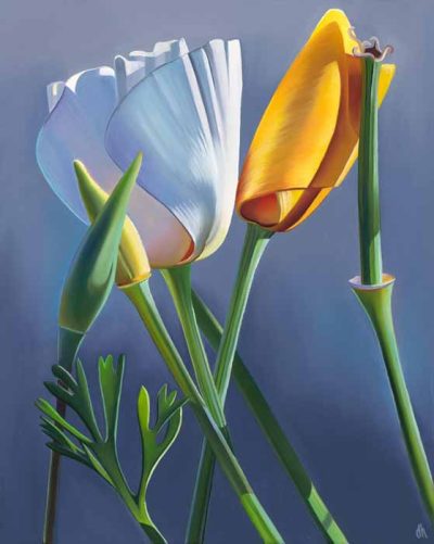 Roadside Attraction by Dyana Hesson