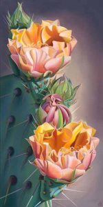 The Prayer Prickly Pear Blooms by Dyana Hesson