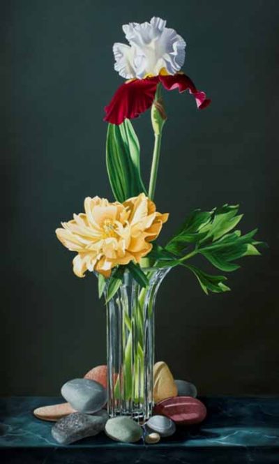Transformations by Jane Jones