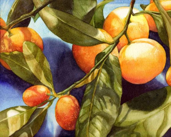 Winter Fruit by Kathrine Lemke Waste