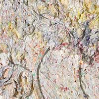 Picture of Larry Poons
