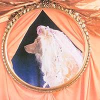 Picture of William Wegman