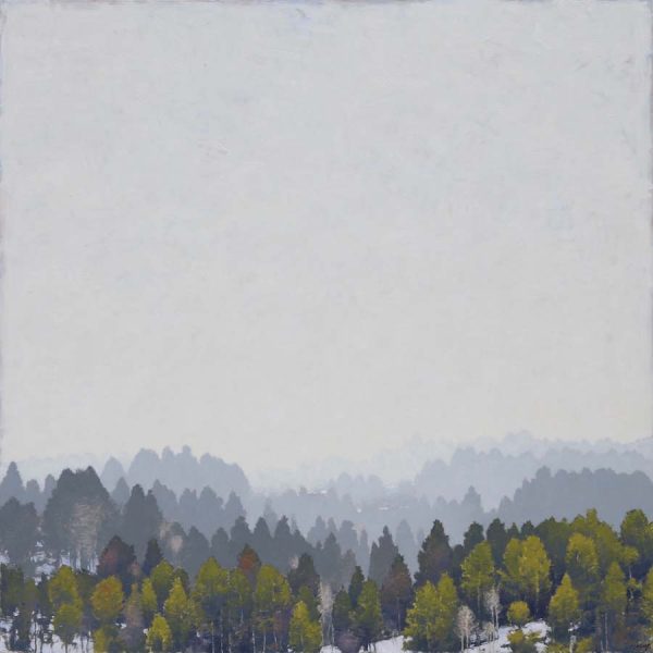 A Place in the Pines by Jared Sanders