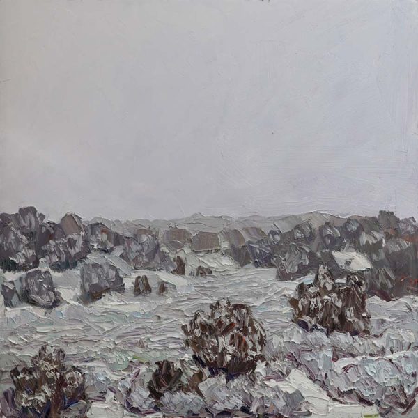 A Sea of Snow on Juniper and Sage by Jivan Lee