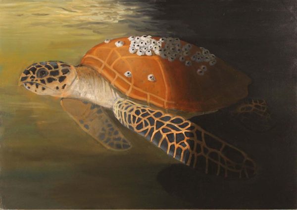 Aquarium Glass, Hide Your Good Work by Robert McCauley