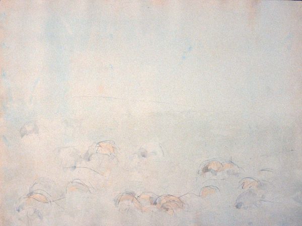Blackburn’s Sheep M4 by Theodore Waddell