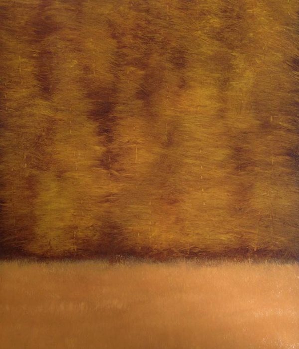 Conifers by Dave Hall