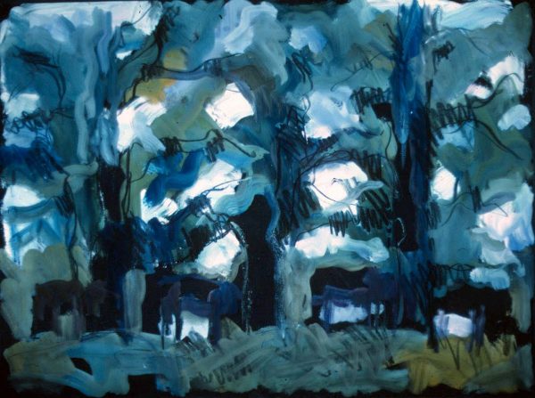 Cottonwood Angus Dr 007 by Theodore Waddell