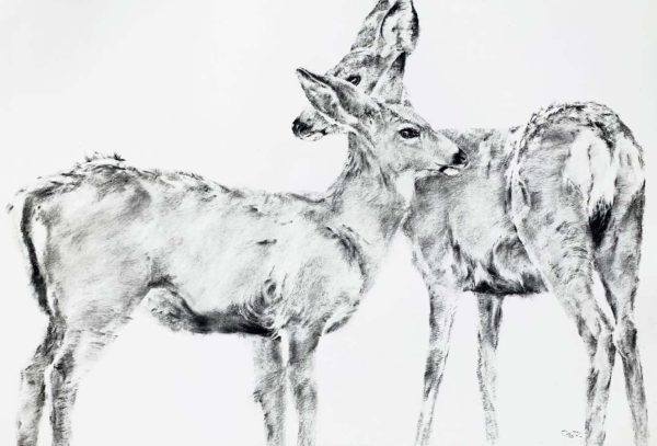 Deer Run Radiance One by September Vhay