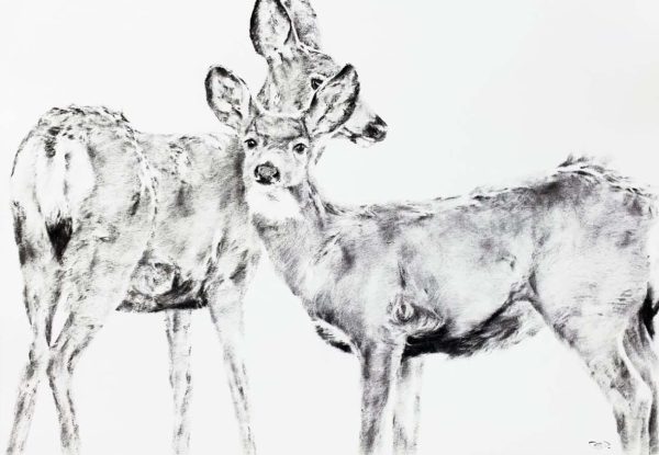 Deer Run Radiance Two by September Vhay