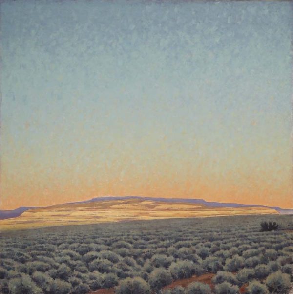 Desert Sage by Jared Sanders