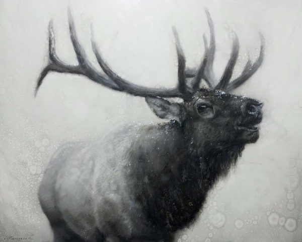 First Snow by David Frederick Riley