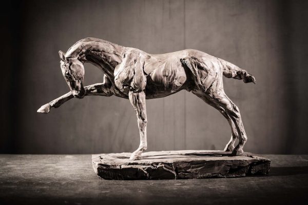 Focus, #11/21 by Stephanie Revennaugh