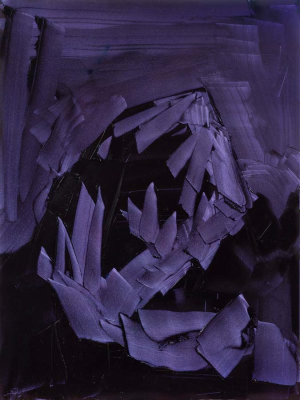 Grand Teton, ROYGBIV #2, Violet (quinacridone violet, ultramarine blue, dioxazine purple) by Jivan Lee