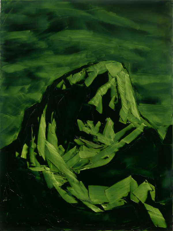 Grand Teton, ROYGBIV #3, Green (sap green) by Jivan Lee