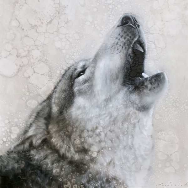 Howl by David Frederick Riley