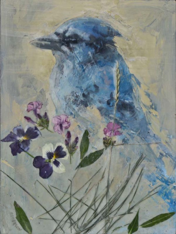Jay Considered by Mary Roberson