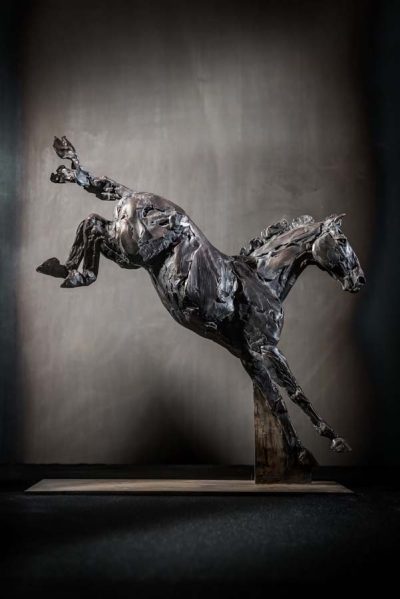 Jumper II- Down, #11/21 by Stephanie Revennaugh