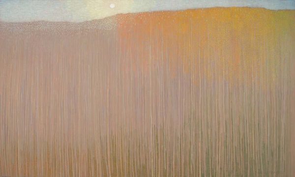 Lowering Sun and Fading Autumn Forest by David Grossmann