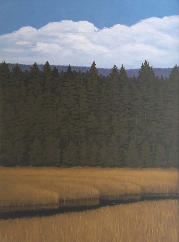 Moving Water 1 by Dave Hall