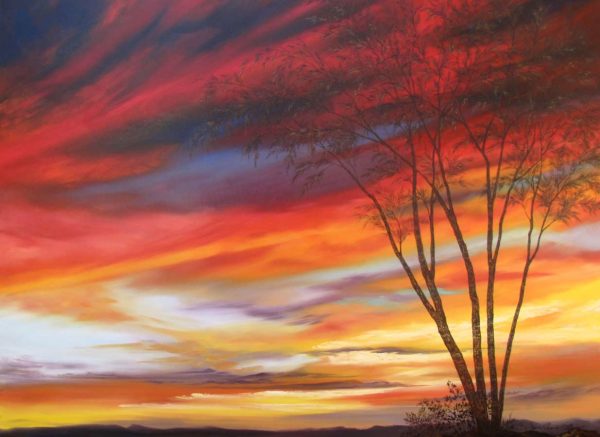 No Boundaries by Cyndy Carstens