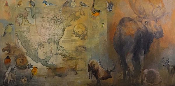 North American Deer Family by Mary Roberson