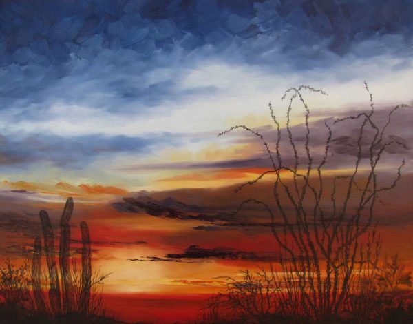Ocotillo Shadows by Cyndy Carstens