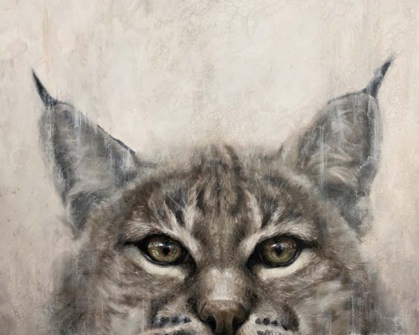 Peakaboo Bob by David Frederick Riley