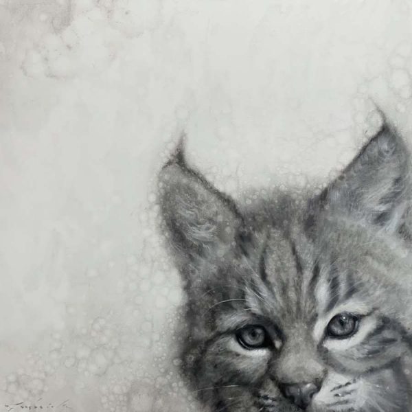 Peek a Boo by David Frederick Riley