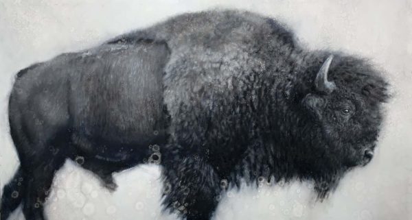 Profile by David Frederick Riley