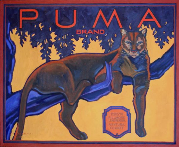 Puma Brand by Dennis Ziemienski