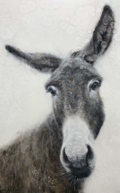 Rainy Day Donkey by David Frederick Riley