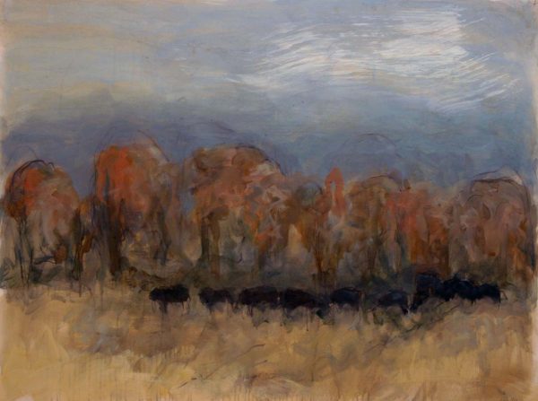 Red Willow Angus Dr. #7 by Theodore Waddell