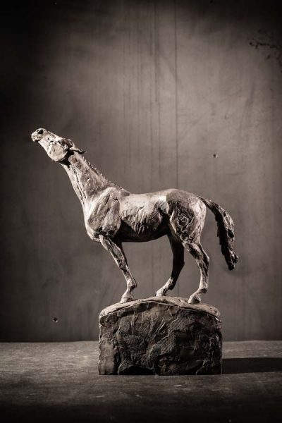 Search, #5/21 by Stephanie Revennaugh
