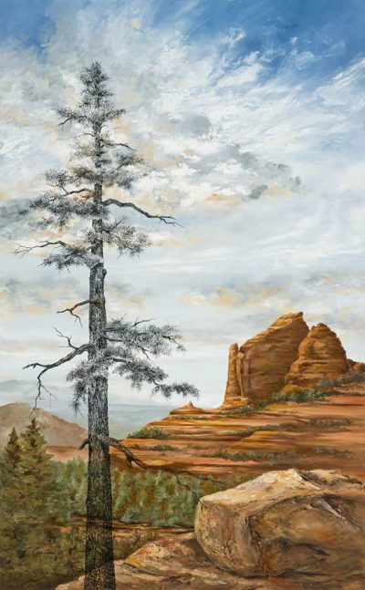Sedona Pine by Cyndy Carstens