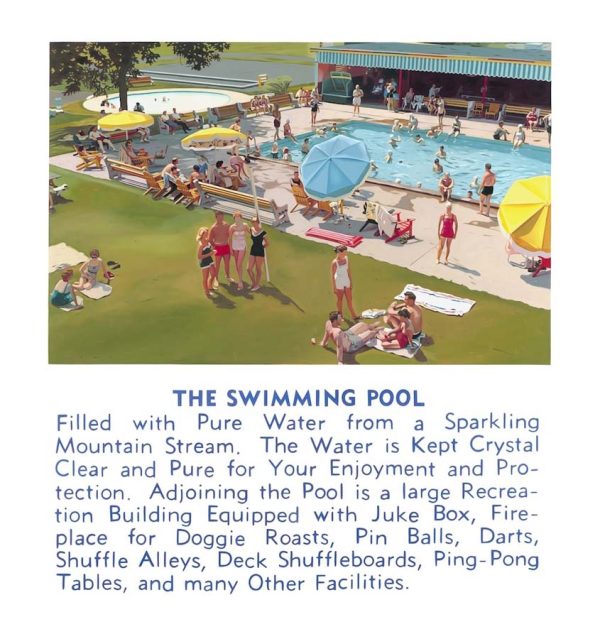 The Swimming Pool by Robert Townsend