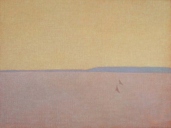 Two Hawks with Yellow Sky by David Grossmann